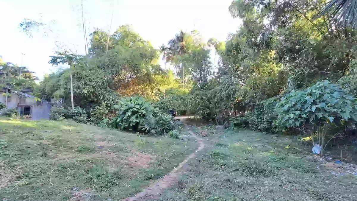 LOT ONLY FOR SALE in Jubay Liloan Cebu — Agricultural Lot in Liloan, Cebu, Philippines — Photo 3