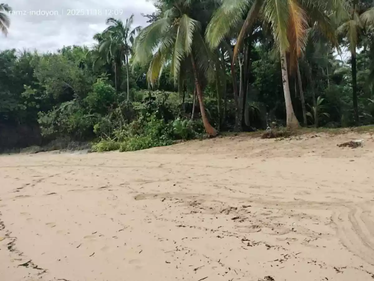 Beach Property in Hinatuan, Surigao. — Beach Lot in Surigao del Sur, Philippines — Photo 7