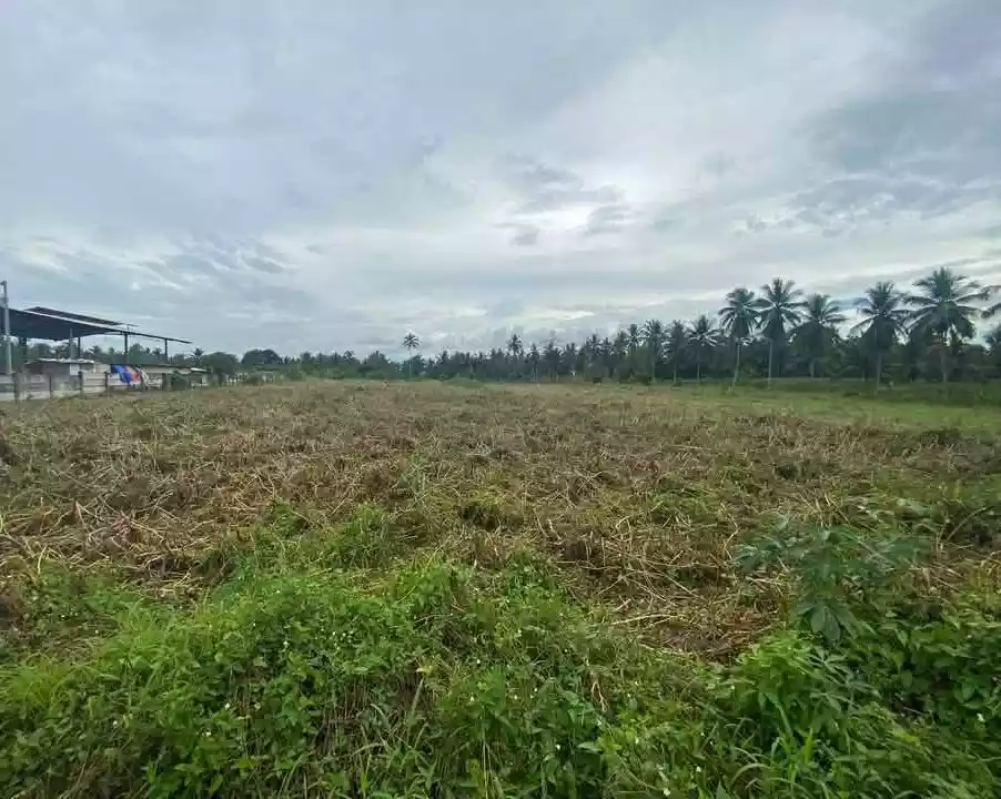 LOT FOR SALE in BANGA SOUTH COTABATO — Agricultural Lot in Banga, South Cotabato, Philippines — Photo 2
