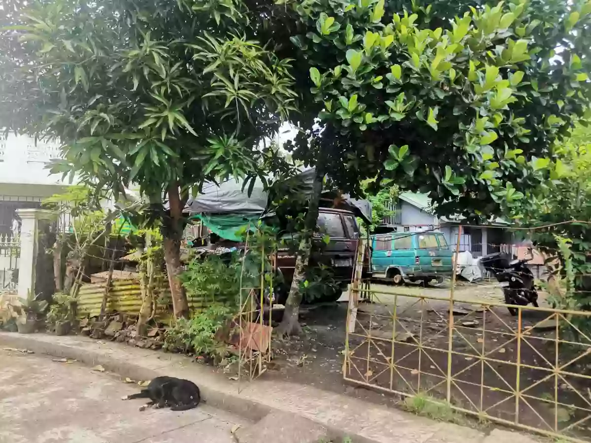 For Sale: Residential Lot in San Felipe, Naga City — 120 sqm — Residential Lot in Naga, Camarines Sur, Philippines — Photo 4