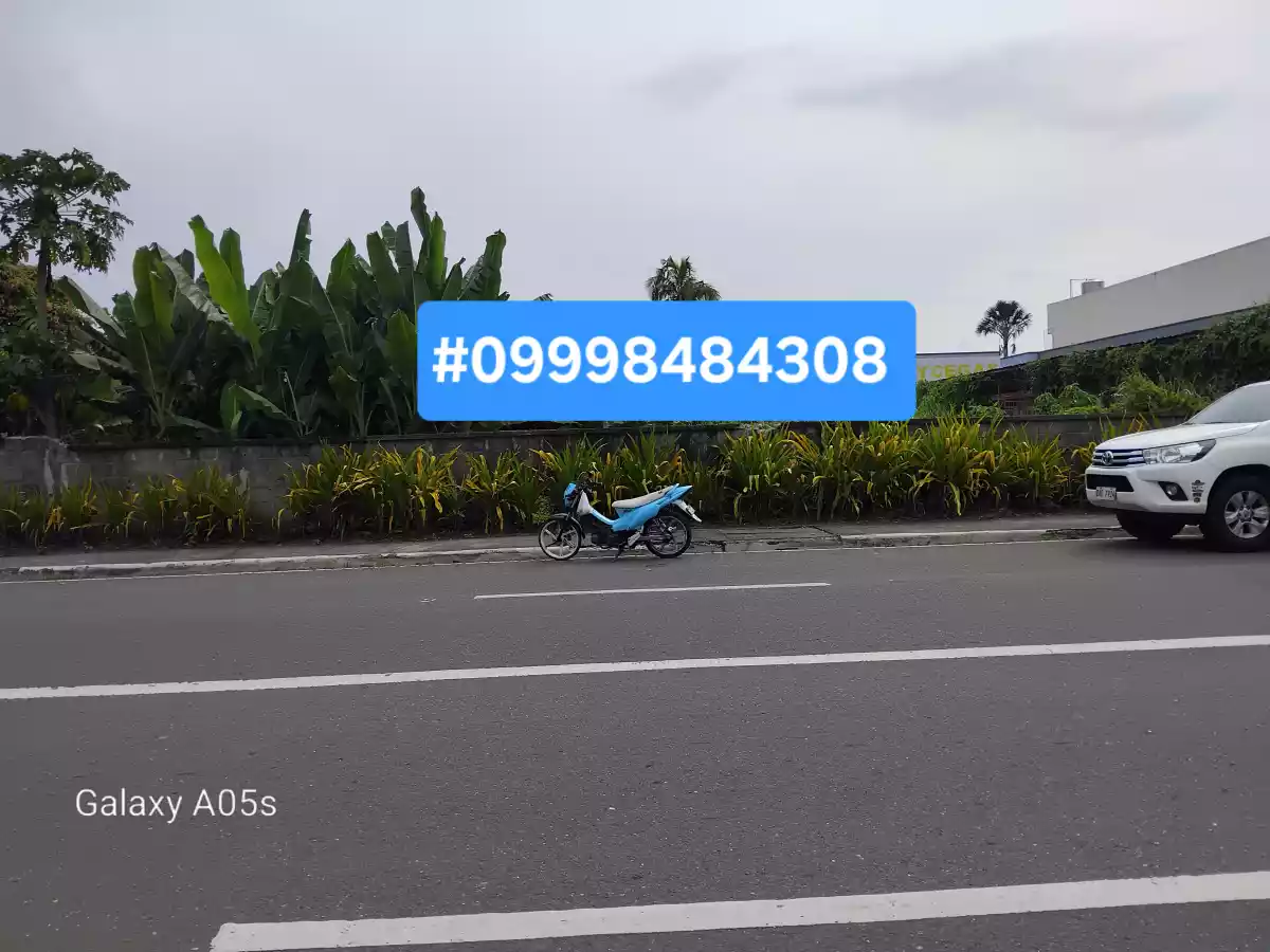 Commercial lot for sale — Commercial Lot in Negros Occidental, Philippines — Photo 5