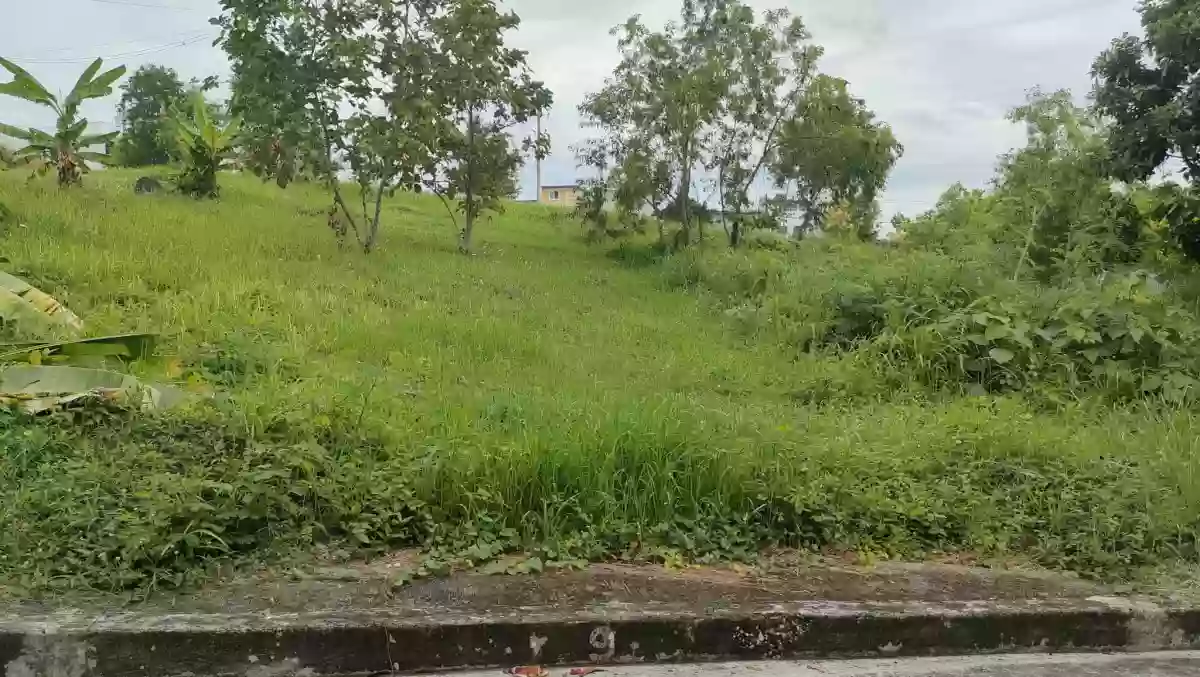 LOT FOR SALE in Vista Grande Talisay City, Cebu!