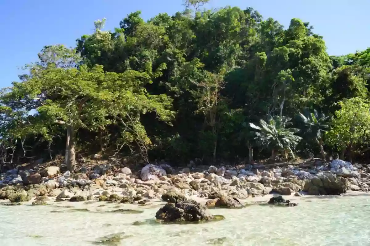 Open photo 11 of 12 — White beachfront in Palawan
