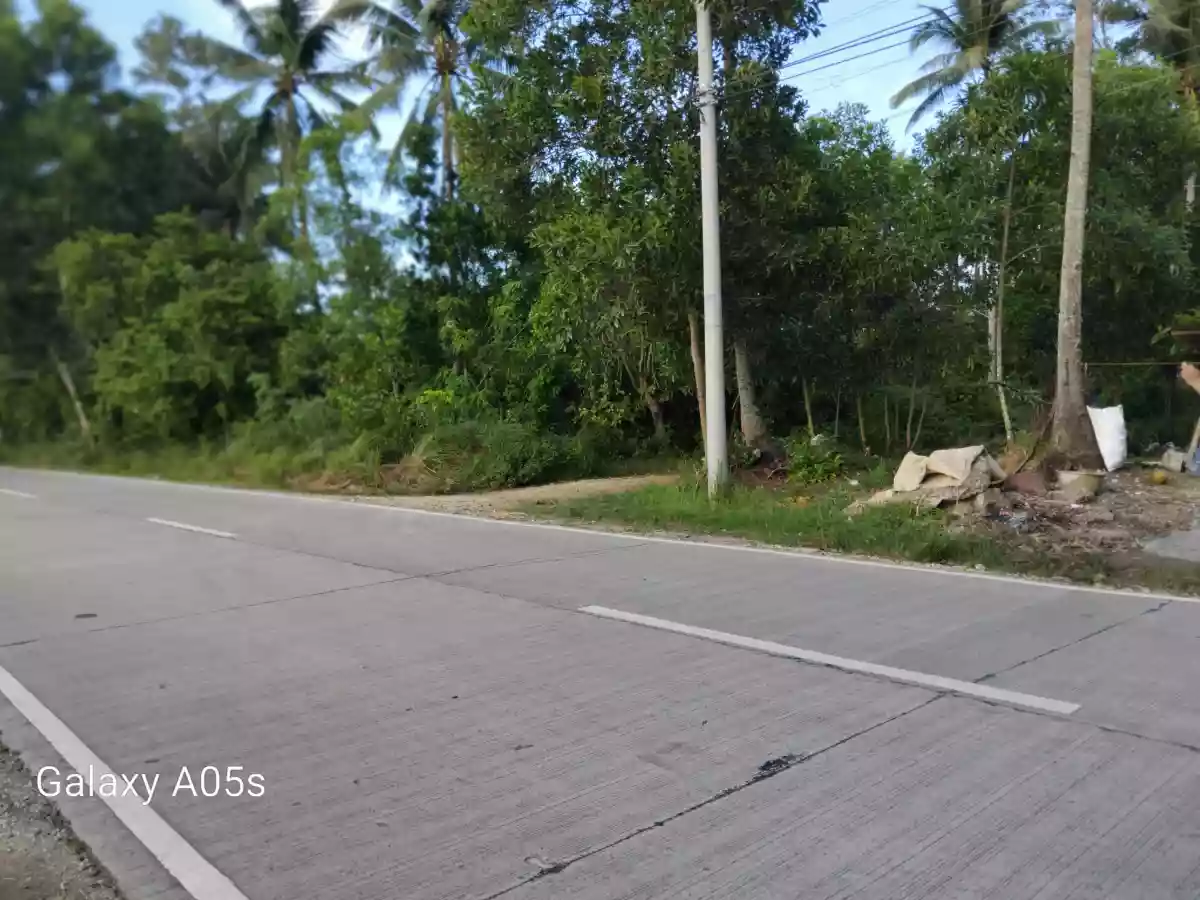 Land for Sale(100%FlatLand) — Residential Lot in Guimaras, Philippines — Photo 3