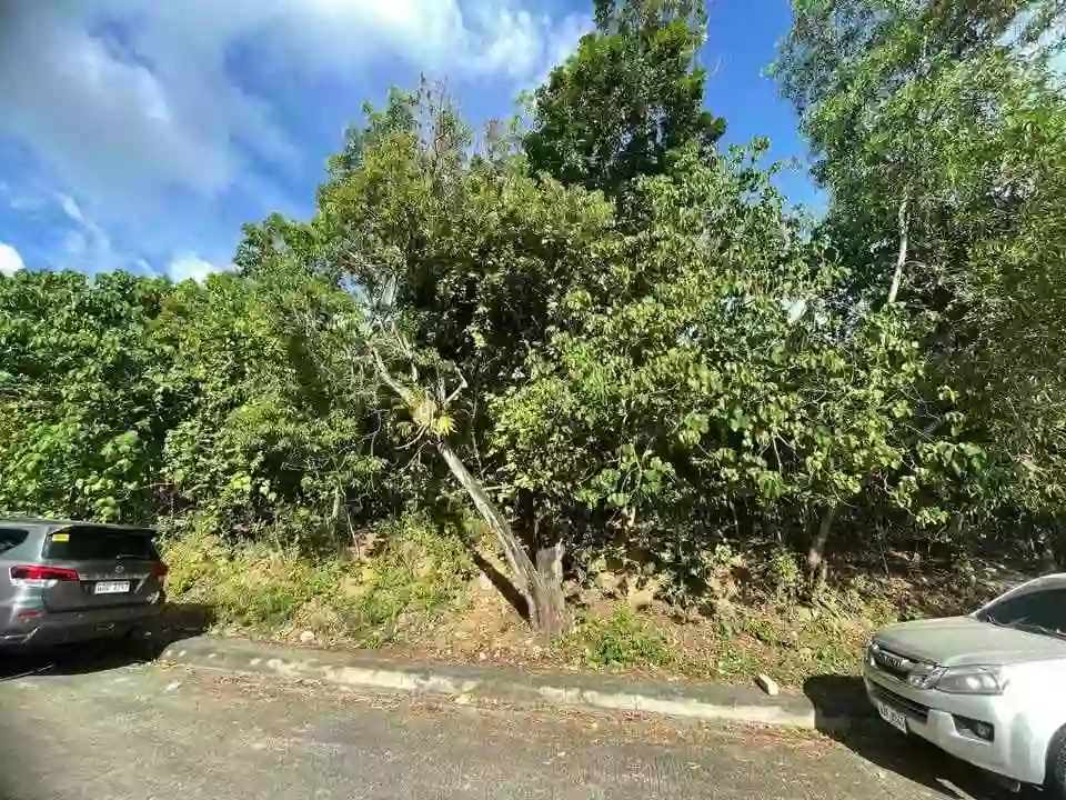 Overlooking Residential Lot in Vista Grande Talisay — Residential Lot in Rio de Janeiro Street, Talisay, Cebu — Photo 2