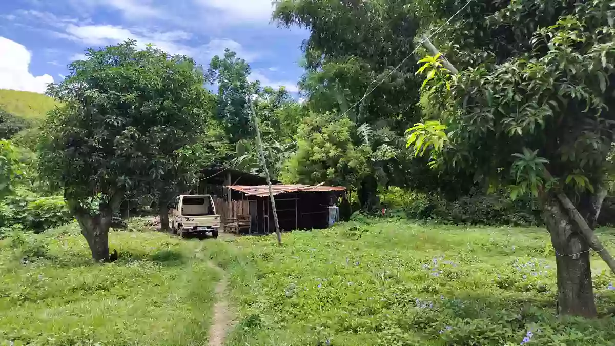 Titled farm lot — Agricultural Lot in Danao City, Cebu, Philippines — Photo 2
