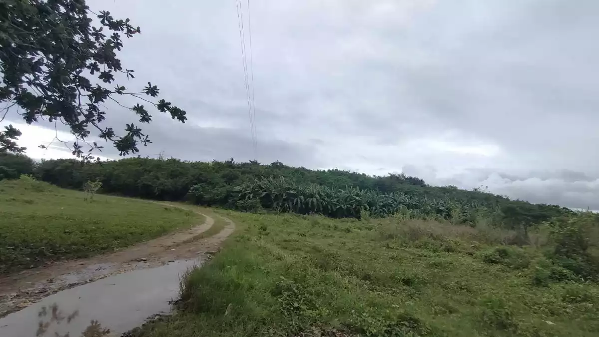 LOT FOR SALE in Bogo City