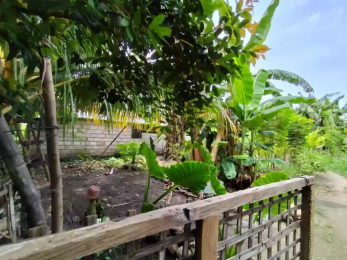 SACRIFICE LOT FOR SALE! Residential Lot for SALE near Azumi Phase 2 — Residential Lot in Dumaguete, Negros Oriental, Philippines — Photo 5