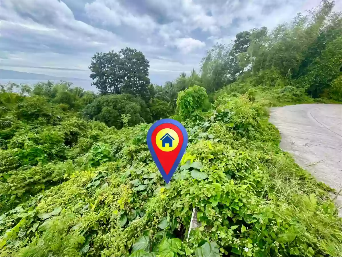 For Sale: Residential Lot in Santo Niño, San Jose — 1,311 sqm — Residential Lot in Negros Oriental, Philippines — Photo 4