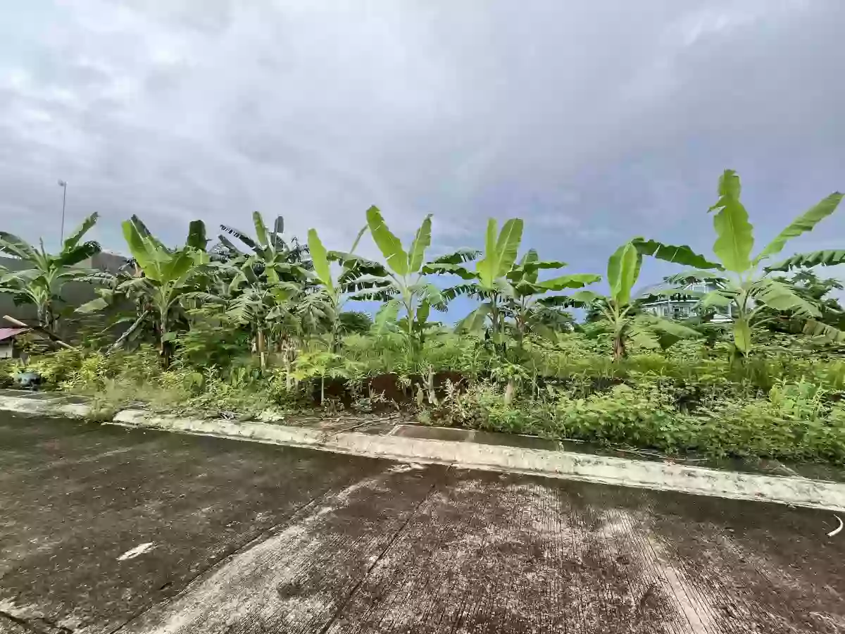 Lot for Sale