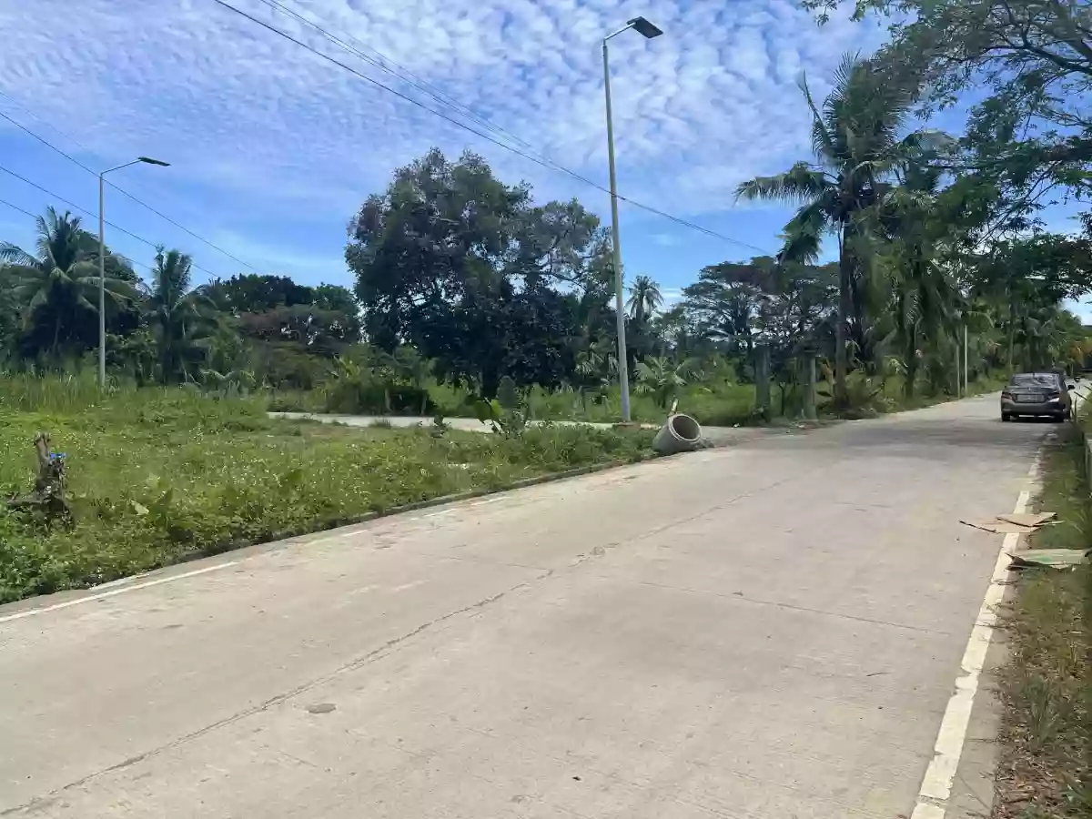 1.7 Hectare Agricultural Lot for Sale [TAX DEC] — Agricultural Lot in Liloan, Cebu, Philippines — Photo 7