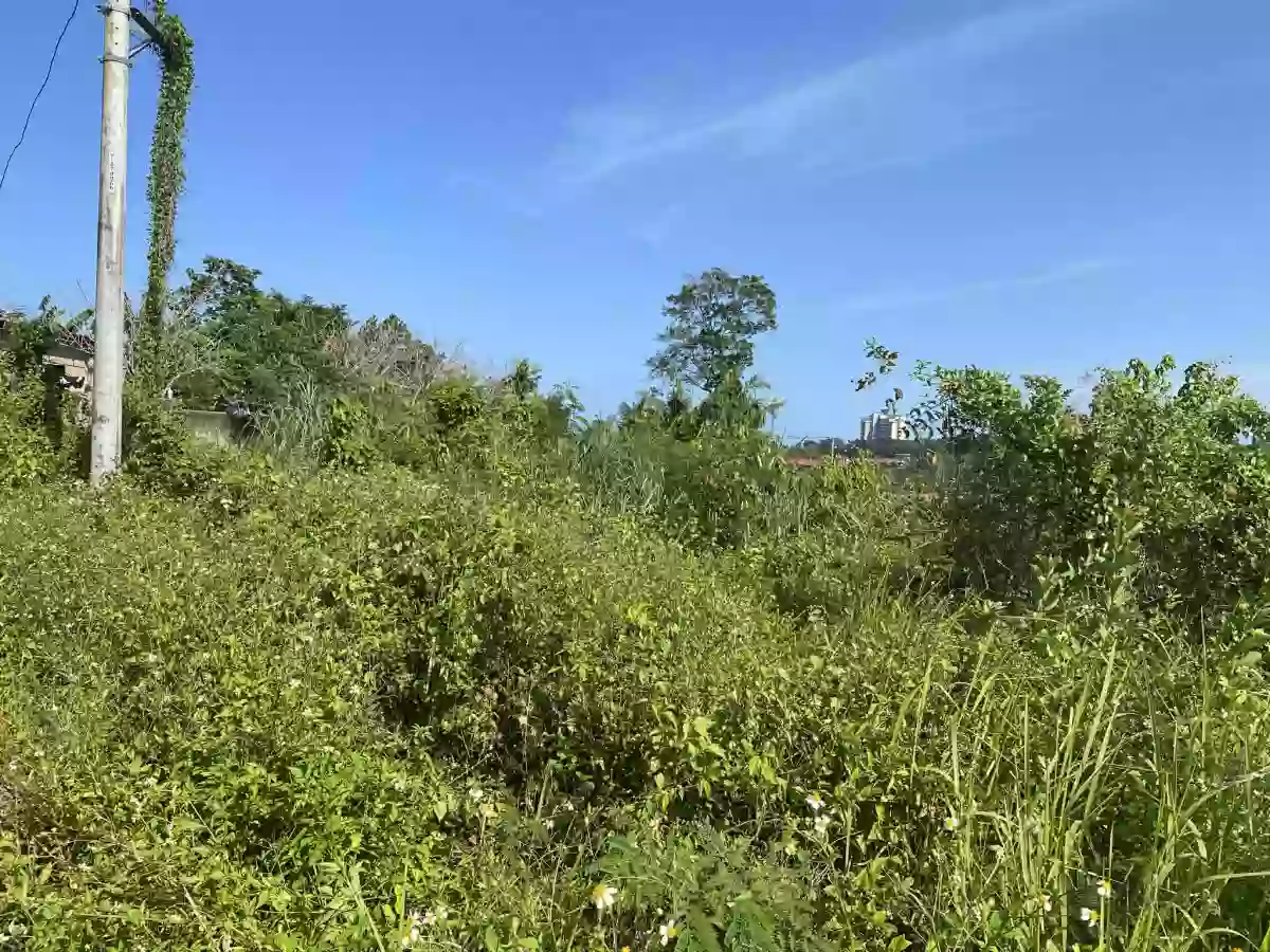200 sq mt LOT FOR SALE – El Monte Grande Heights — Residential Lot in Liloan, Cebu, Philippines — Photo 5