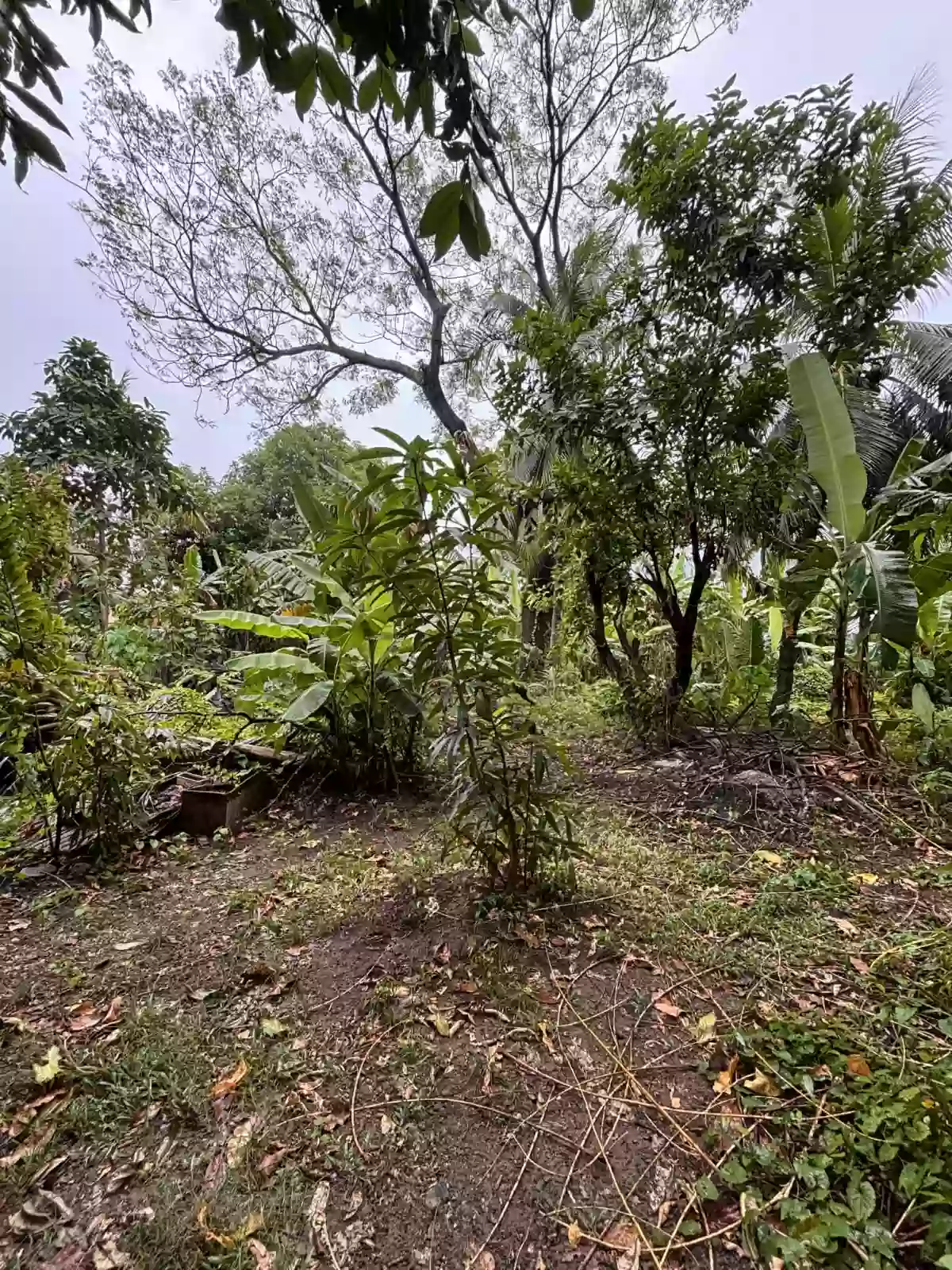 For Sale Commercial Lot — Commercial Lot in Cebu City, Cebu, Philippines — Photo 3
