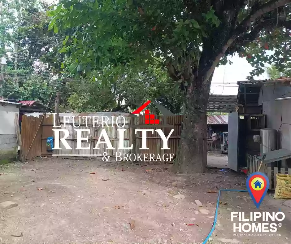Residential Lot For Sale in Gumaca Quezon Near LTO along Cemented Road — Residential Lot in Gumaca, Quezon, Philippines — Photo 2