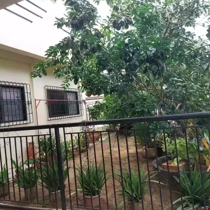 Titled House and Lot for SALE in Pitogo, Consolacion, Cebu. Garden Bloom Acres Subdivision — House and Lot in Iris, Pitogo, Consolacion — Photo 7