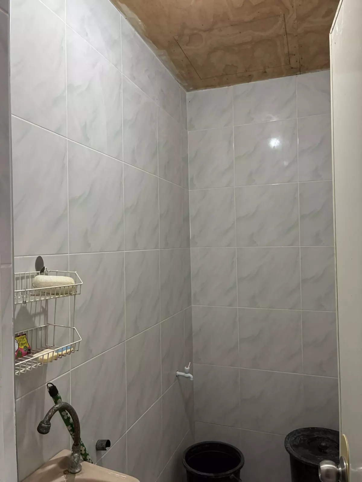 Northville Bungalow House for Sale Php1.3M — Townhouse in Sibulan, Negros Oriental, Philippines — Photo 4