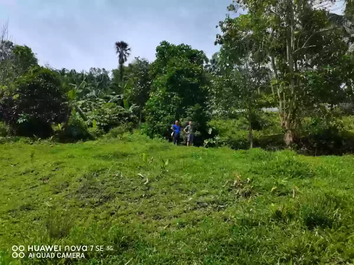 Lot for Sale in Sagbang, Valencia! — Agricultural Lot in Valencia, Negros Oriental, Philippines — Photo 4