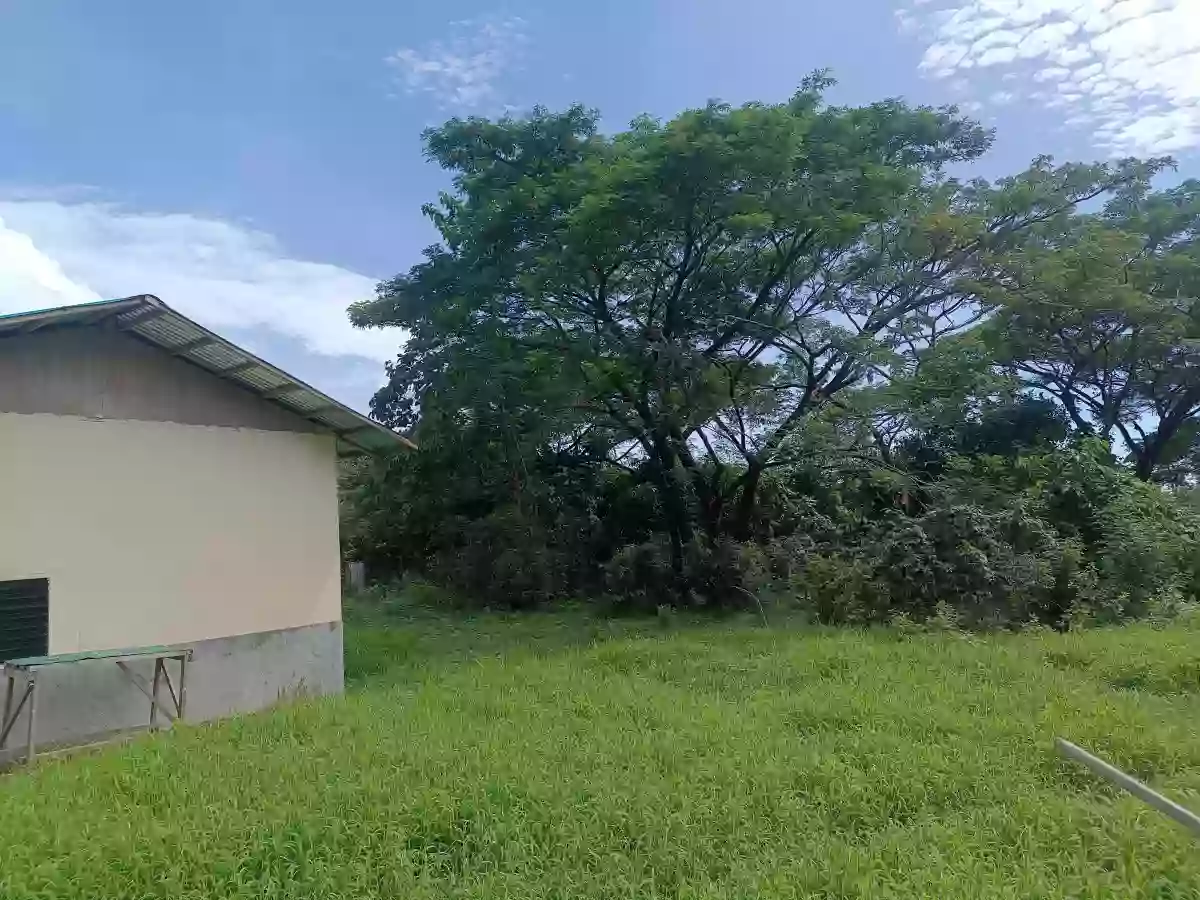 Residential lot for sale Domoit Lucena City clean title (Rush) cash or Installment — Residential Lot in Lucena, Quezon, Philippines — Photo 4