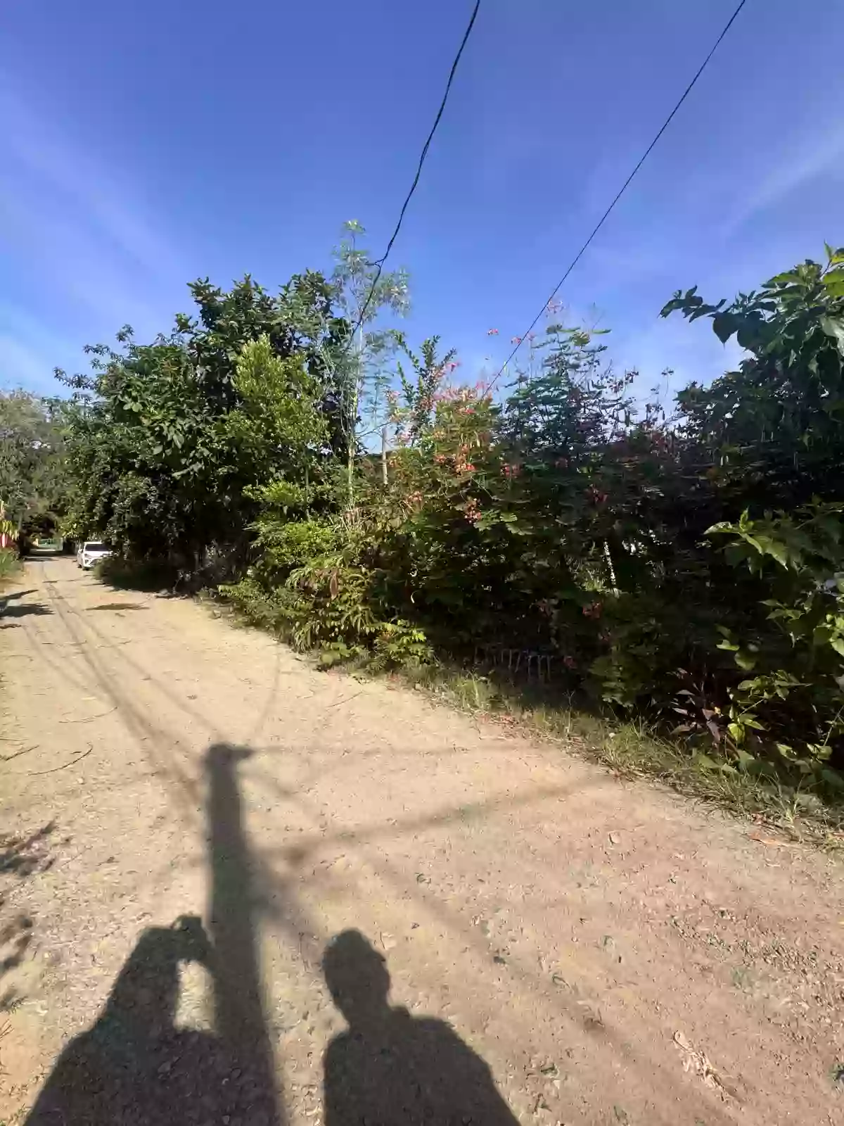 Prime location in Puerto Princesa City Palawan — Residential Lot in Valledor Street, F. Ponce de Leon Road, Puerto Princesa City — Photo 5