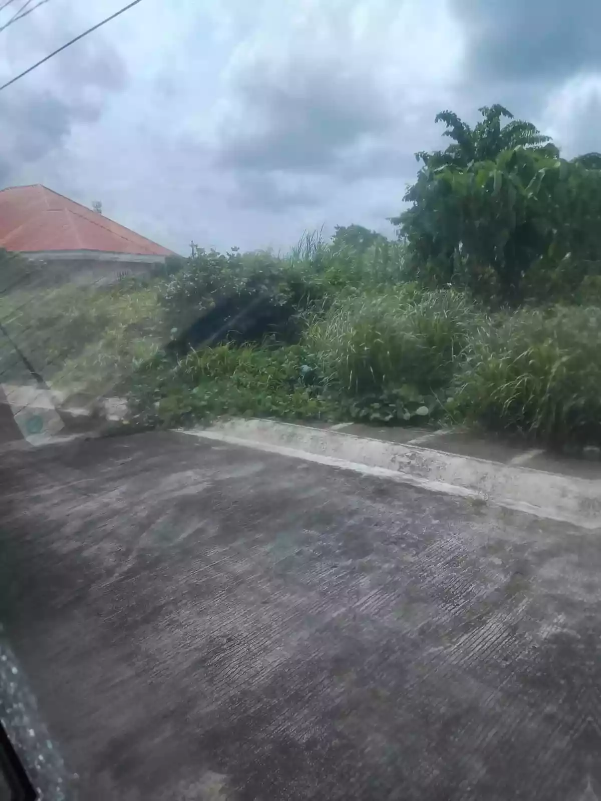 Residential Lot for Sale near Primus Resort — Residential Lot in Naga City, Camarines Sur, Philippines — Photo 2