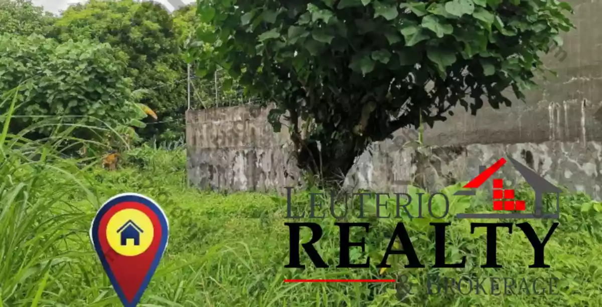 533 SQM RESIDENTIAL LOT FOR SALE IN A COMMERCIAL AREA — Residential Lot in Legazpi City, Albay, Philippines — Photo 3