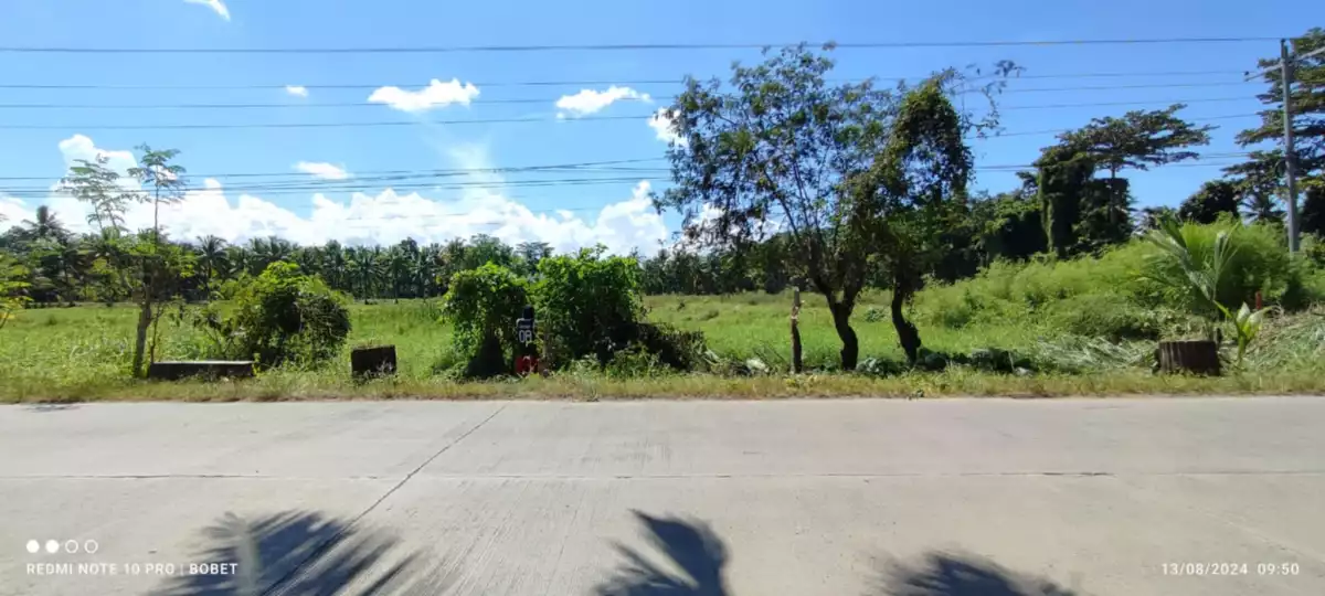 Prime AgriLand — Agricultural Lot in Butuan City, Agusan Del Norte, Philippines — Photo 2