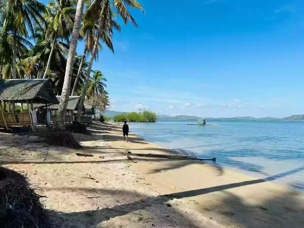 retirement beach house — Beach Lot in Quezon, Palawan, Philippines — Photo 3