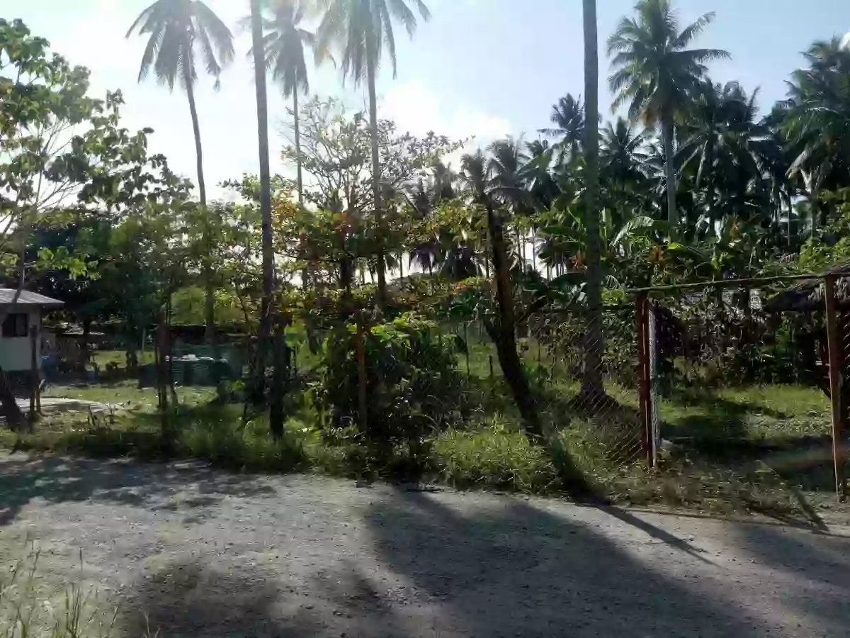 7M LOT FOR SALE IN TAGUM — Residential Lot in Bansalan, Davao del Sur, Davao — Photo 4