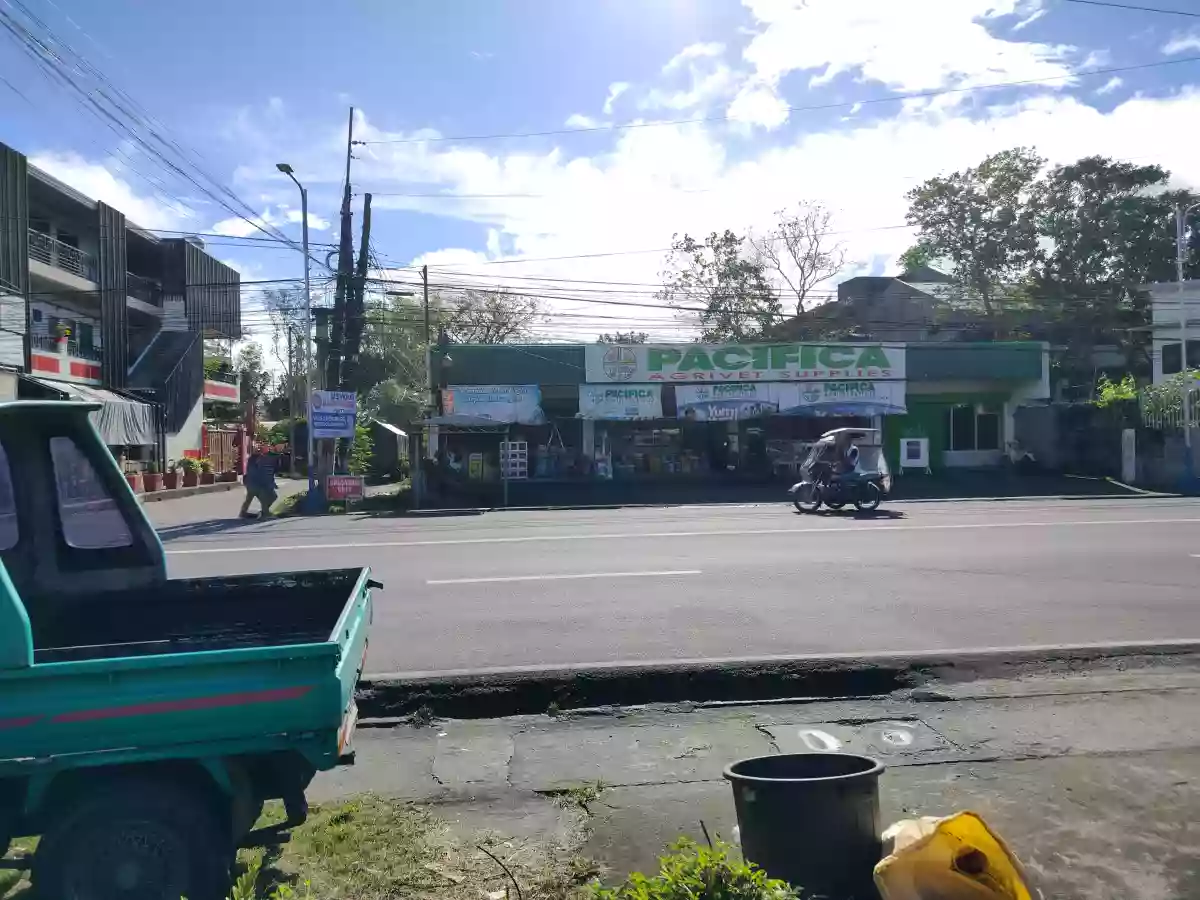 Commercial Lot for sale 378sq.m. Lot area — Commercial Lot in Talisay City, Negros Occidental, Philippines — Photo 3