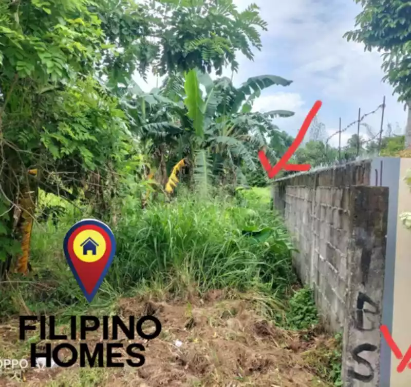 513 SQM RESIDENTIAL LOT FOR SALE — Residential Lot in Naga City, Camarines Sur, Philippines — Photo 4