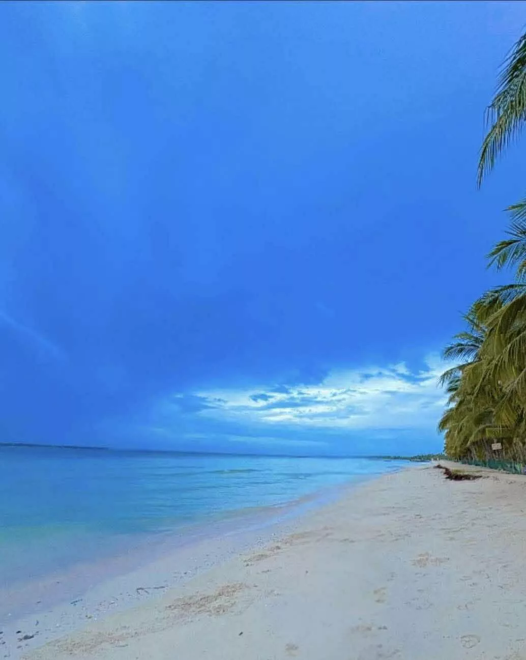 Beach Lot for Sale in Bantayan Island — Beach Lot — Photo 4