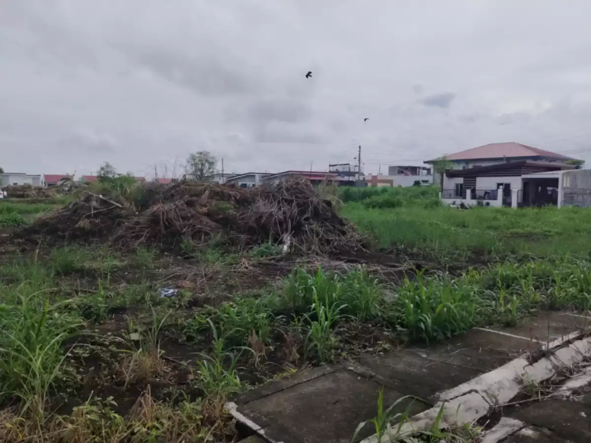 RESIDENTIAL LOT — Residential Lot in Pili, Camarines Sur, Philippines — Photo 3