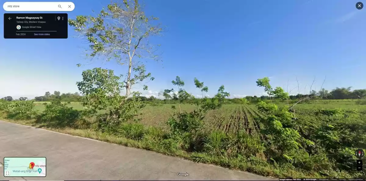 Agricultural LOT for sale at MATAB-ANG TALISAY! — Agricultural Lot in Talisay City, Negros Occidental, Philippines — Photo 2