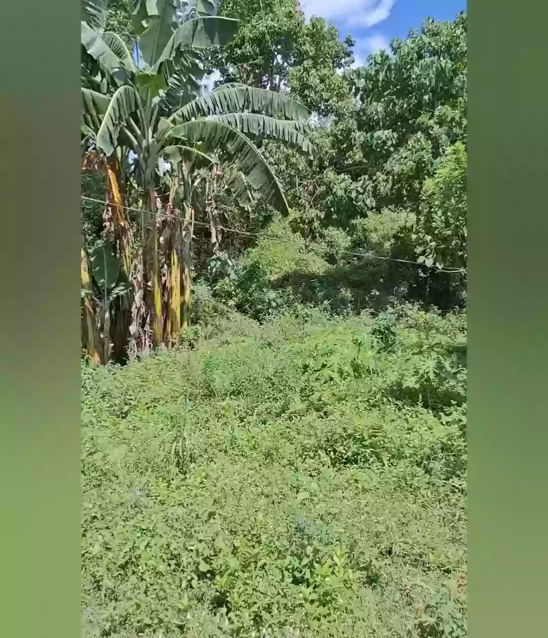 LOT FOR SALE — Agricultural Lot in Malapatan, Sarangani, Philippines — Photo 4
