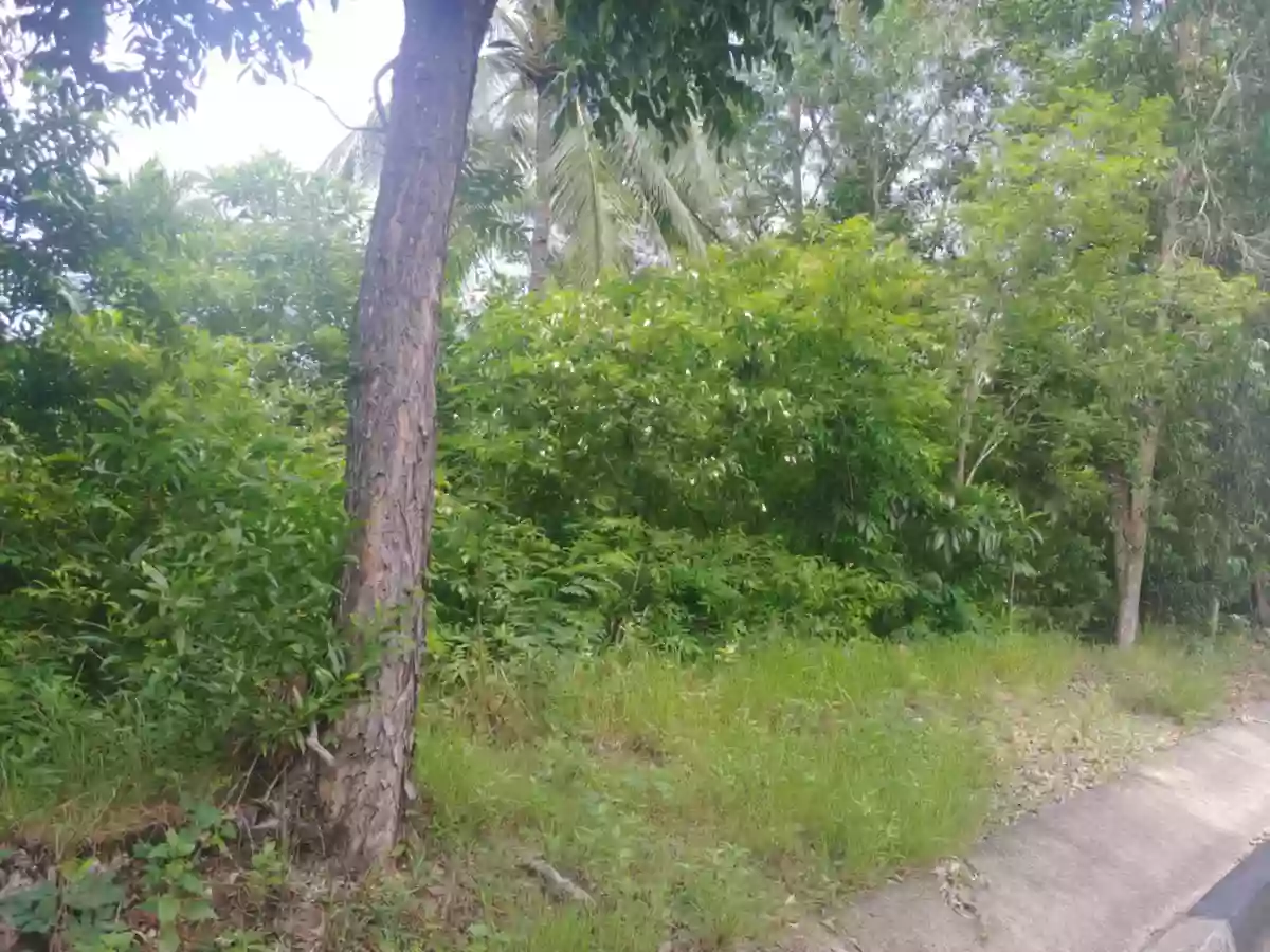 Land for Sale — Agricultural Lot in Guimaras, Philippines — Photo 3