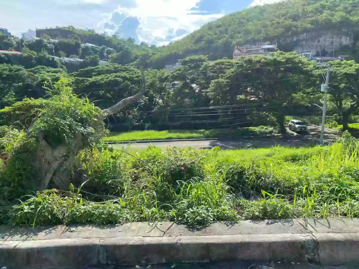 Residential lot in Aspen Heights — Residential Lot in Consolacion, Cebu, Philippines — Photo 2