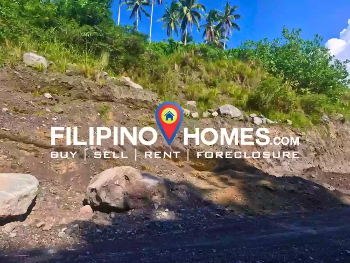 Quarry Lot For Sale! — Agricultural Lot in Camalig, Albay, Philippines — Photo 3