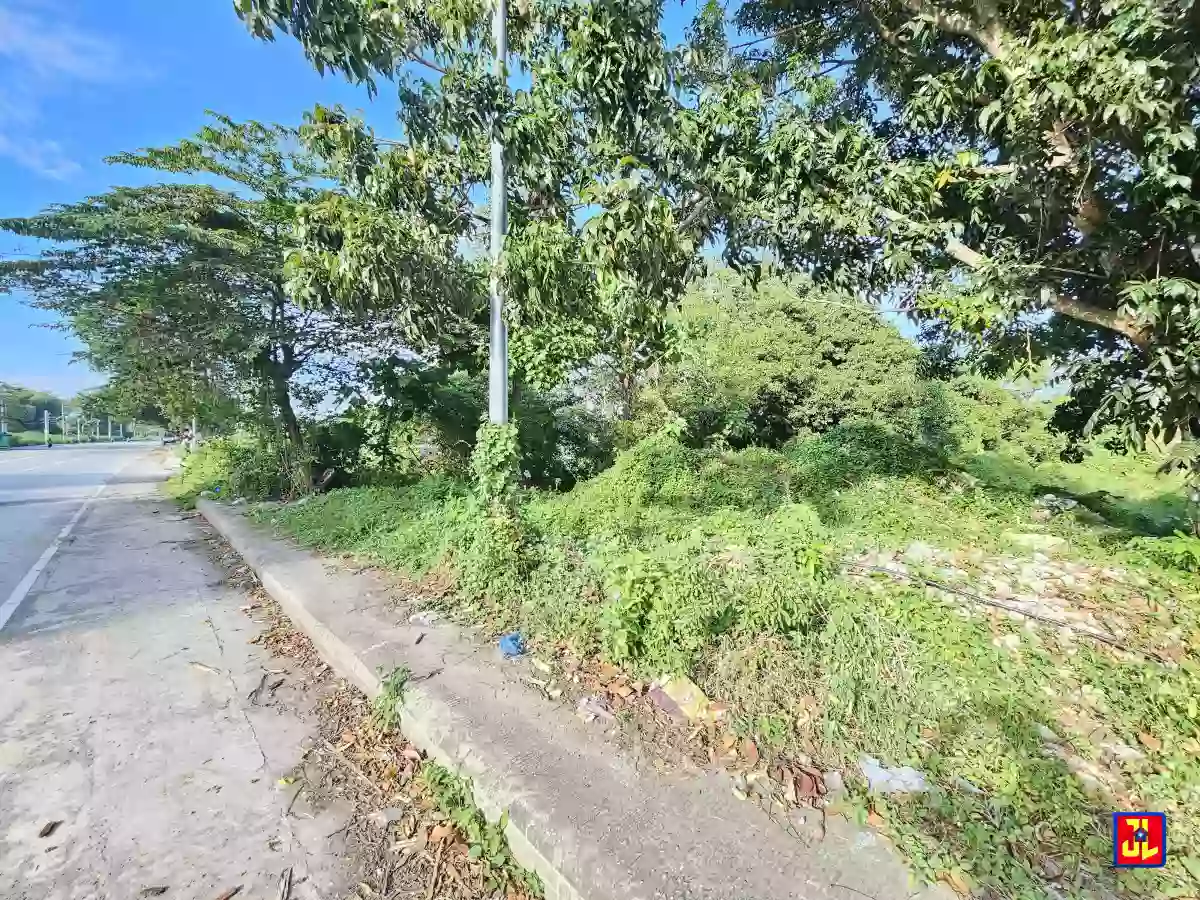 Rush Sale 2,788sqm Lot Along Diversion Road, Isugan, Bacong [available] — Commercial Lot in Bacong, Negros Oriental, Philippines — Photo 2