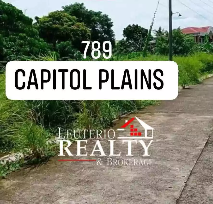 0802010001019 — Residential Lot in Pili, Camarines Sur, Philippines — Photo 2