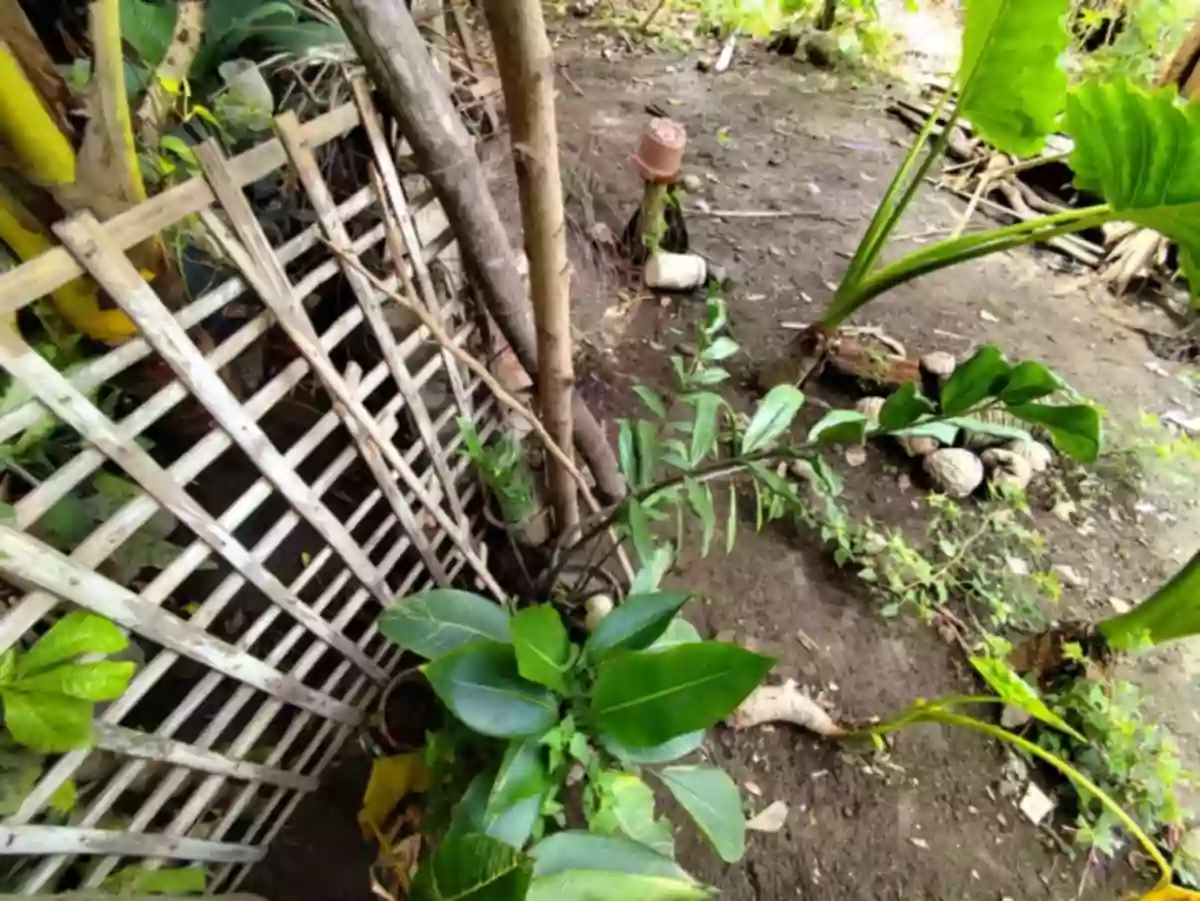 SACRIFICE LOT FOR SALE! Residential Lot for SALE near Azumi Phase 2 — Residential Lot in Dumaguete, Negros Oriental, Philippines — Photo 3