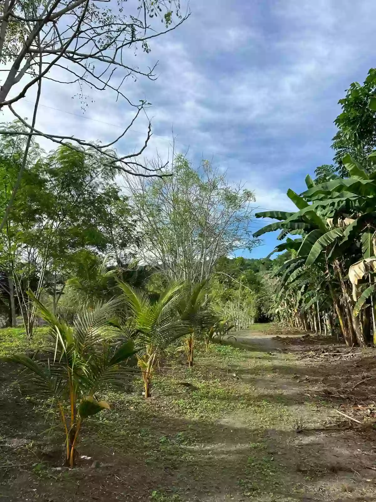 Lot near Ecotourism Zone at Brgy. Mabuhay, General Santos City