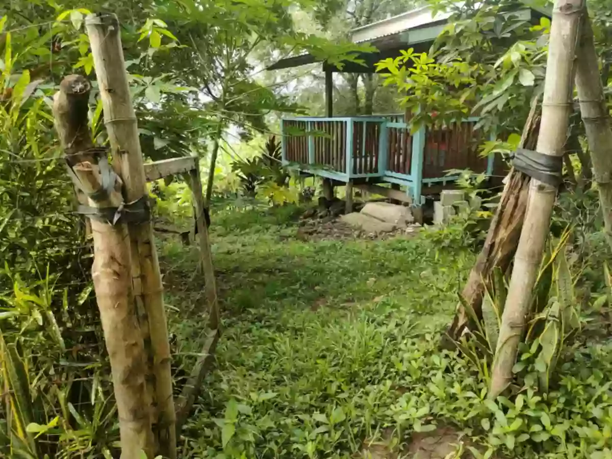 Overlooking Lot For Sale in Bahia,Dewey Island,Capiñahan, Bais City — Agricultural Lot in Bais City, Negros Oriental, Philippines — Photo 5