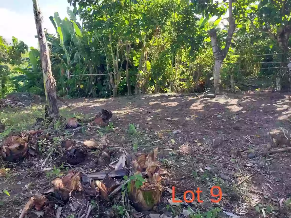 Residential Lot for Sale in Doña Josefa Pawa Tabaco Albay — Residential Lot in Tabaco City, Albay, Philippines — Photo 6