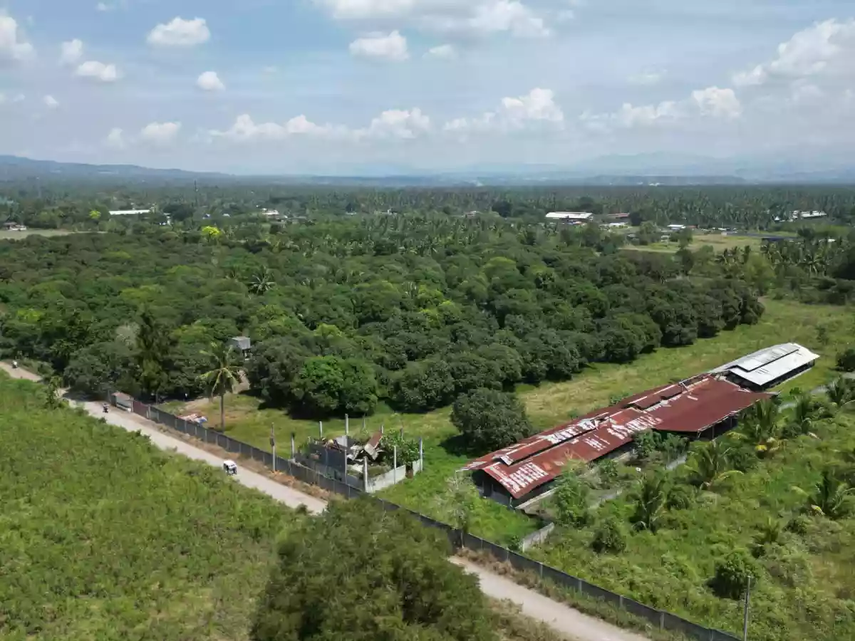 Piggery/Farm Lot For Sale in Odagre General Santos City Socksargen — Agricultural Lot in Gen. Santos City, South Cotabato, 9500 — Photo 4