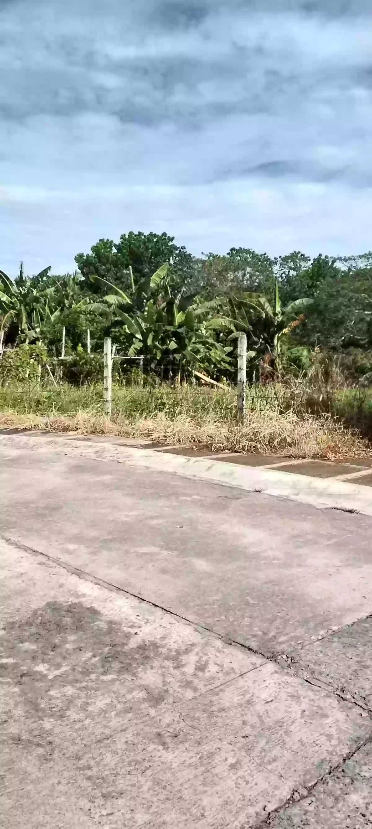 Residential Lot — Residential Lot in Naga City, Camarines Sur, Philippines — Photo 5