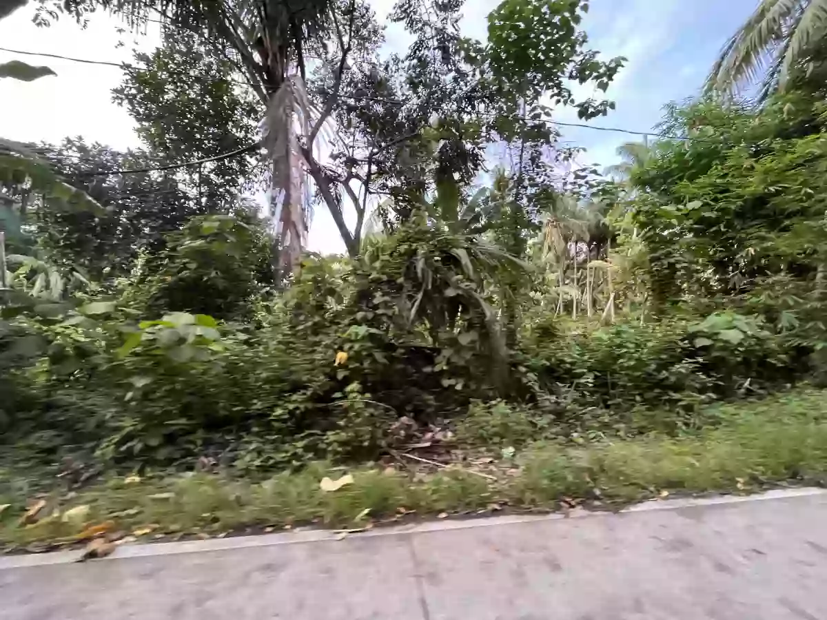 Limpjap Lot Property