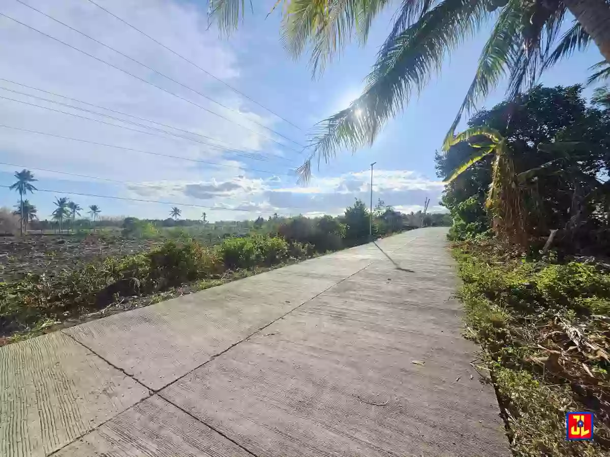 Amazing Lot for Sale in Maayongtubig, Dauin [available] — Agricultural Lot in Negros Oriental, Philippines — Photo 4