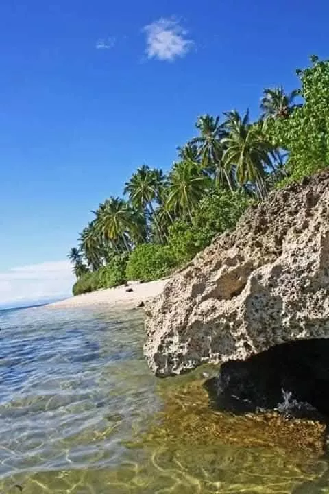 332sqm 3 Residential Beach Lot in Glan Sarangani (112+120+100=332sqm) Adjacent! — Beach Lot in Glan, Sarangani, Philippines — Photo 4