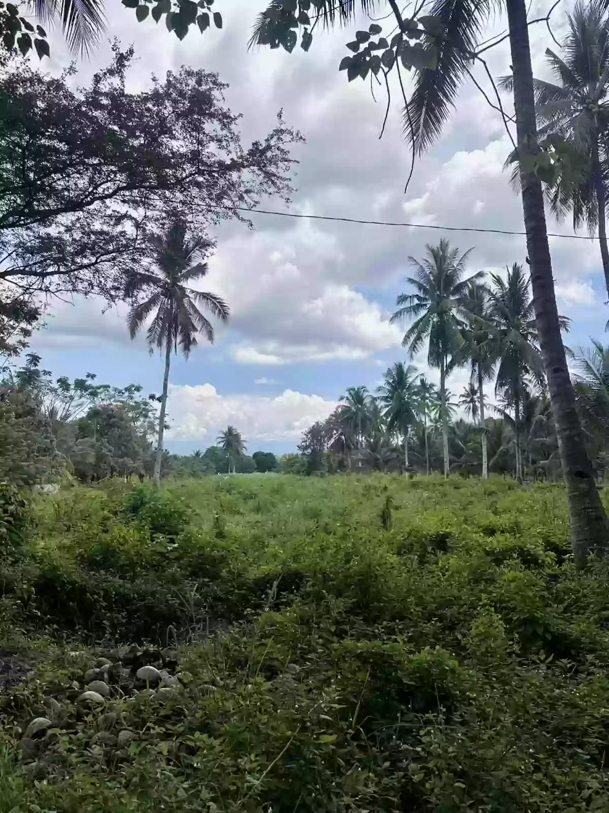 1.1 ha in Glamang — Agricultural Lot in Polomolok, South Cotabato, Philippines — Photo 2