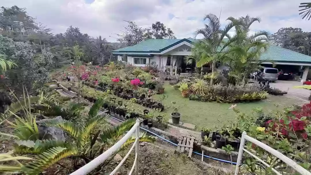 FOR SALE: Farm House in Sirao, Cebu 4,671sqm land area